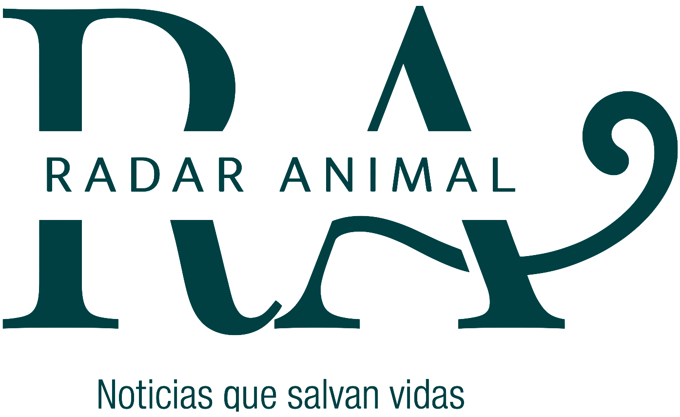 Radar Animal