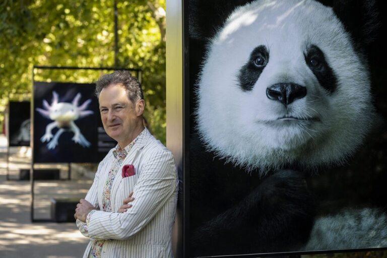 Retrato de un animal amenazado de la exposición “Emociones en peligro” de Tim Flach en El Retiro