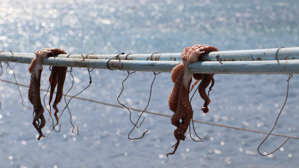 Artes de pesca y captura. Imagen contextual sobre la actuación de Gardacostas contra el furtivismo.