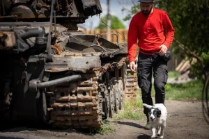 Animales en una situación de emergencia o desastre, contexto de la propuesta de Eurogroup for Animals