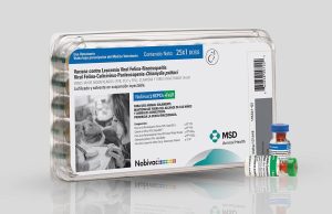 La UE autoriza Nobivac NXT HCPChFeLV, una vacuna felina con ARN autoamplificable frente a la leucemia
