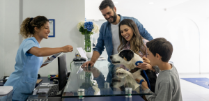 Veterinario revisando a un perro en consulta, ilustración sobre la Ley de Bienestar Animal