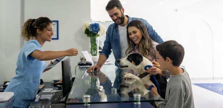 Veterinario revisando a un perro en consulta, ilustración sobre la Ley de Bienestar Animal