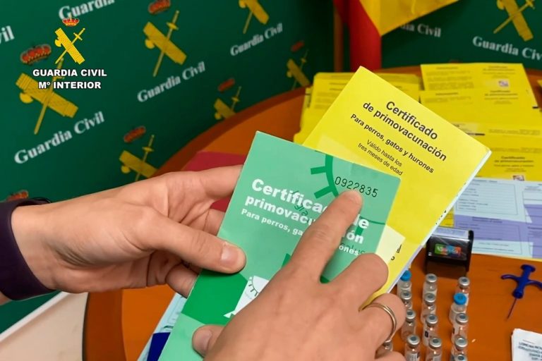 Cartillas de primovacunación y material intervenido por la Guardia Civil durante la Operación Cattus en Málaga