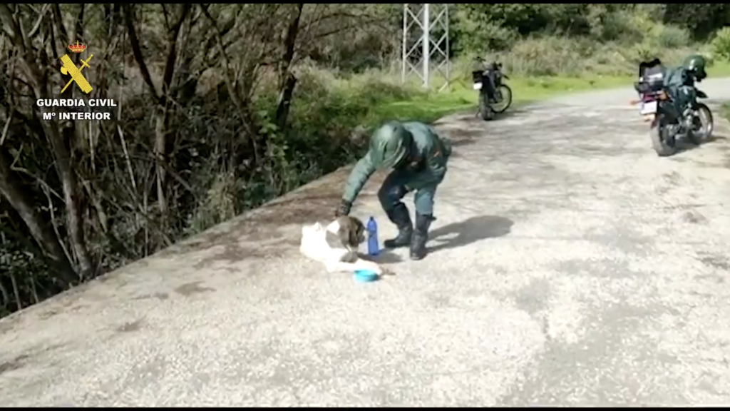 Actuación de la Guardia Civil en la Operación Colaphus en Málaga