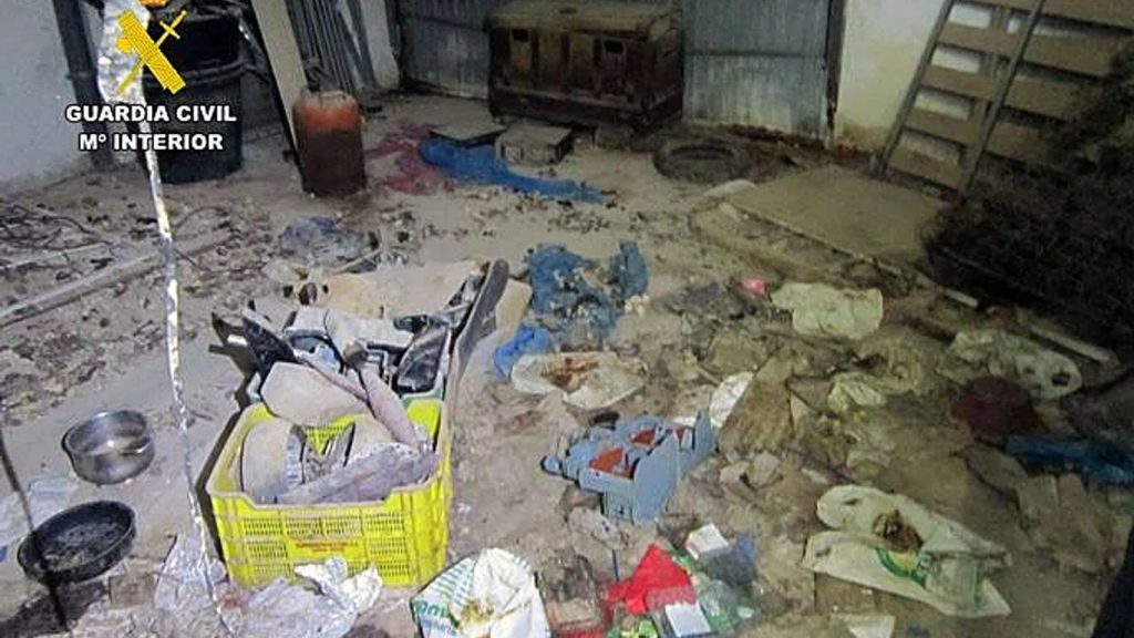 Perro localizado por el SEPRONA en un garaje de Bullas durante la operación Huella
