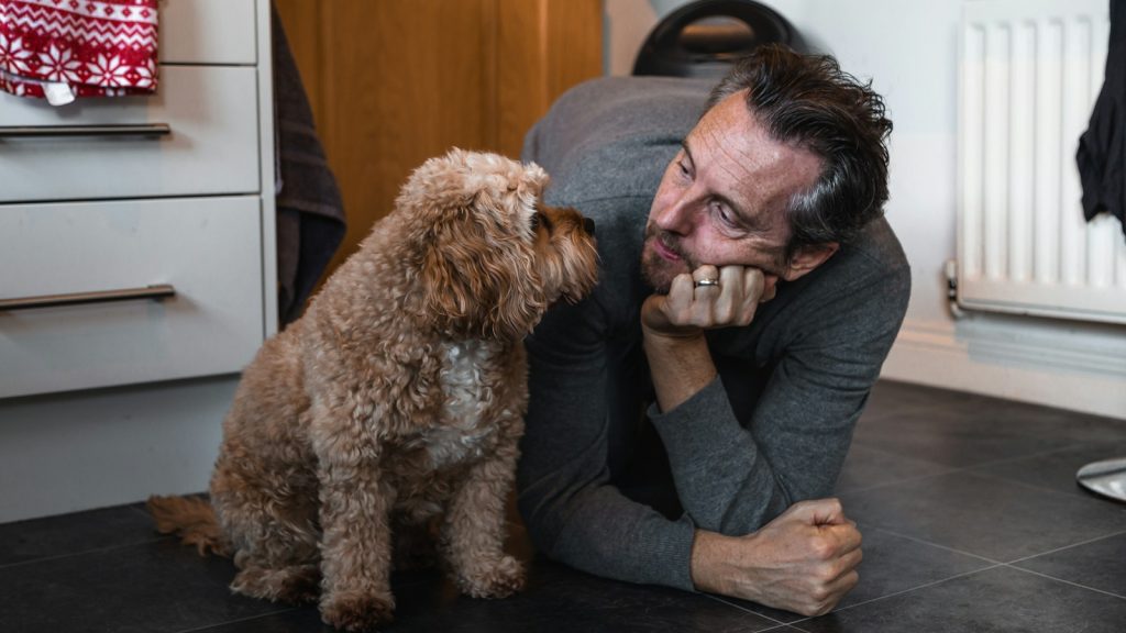 Perro atento a una persona. Imagen contextual sobre el estudio de procesamiento del habla.