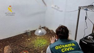 Agente de la Guardia Civil documentando reptiles intervenidos durante la operación contra el tráfico de especies protegidas en Castellón