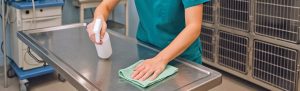 Personal veterinario desinfectando una mesa de exploración en una clínica