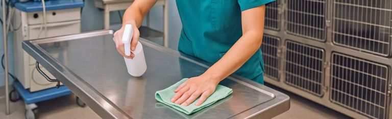 Personal veterinario desinfectando una mesa de exploración en una clínica