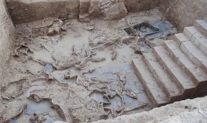 Restos arqueológicos de los caballos estudiados