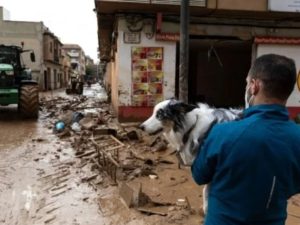 Una persona con mascarilla sostiene a un perro entre los escombros dejados por la DANA
