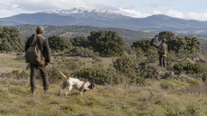 Un perro de caza y un ave rapaz en un paraje de monte
