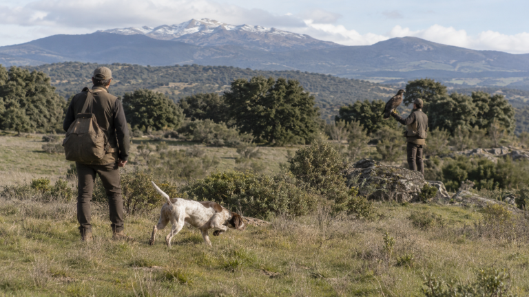Un perro de caza y un ave rapaz en un paraje de monte