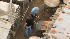 Dos personas con el rostro pixelado manipulando aves en un patio, durante una investigación