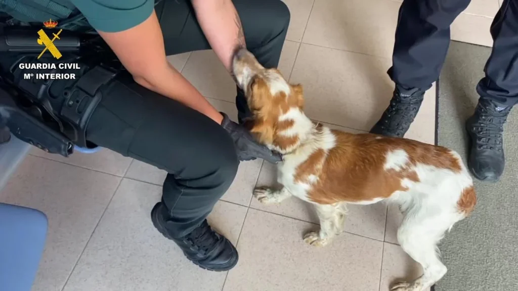 Agente de la Guardia Civil junto a un perro rescatado, en un pasillo