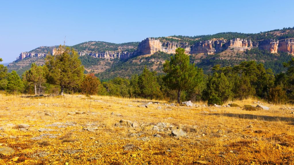 Paisaje de la Serranía de Cuenca, imagen contextual sobre el plan de recuperación de la alondra ricotí