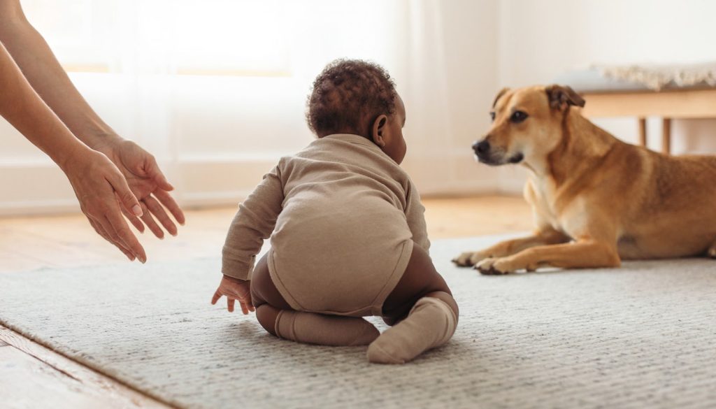 Un bebé sentado en una alfombra tiende la mano hacia un adulto, con un perro tumbado cerca