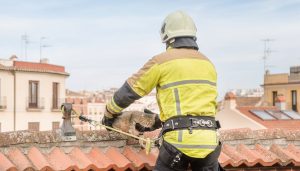 Bombero de espaldas, con casco y uniforme de rescate, sujeta con cuidado a un gato atigrado sobre el tejado de un edificio mientras usa un arnés de seguridad anclado a las tejas.