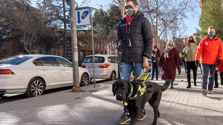 Alberto caminando por la calle guiado por Xabat, su perro guía, en Teruel