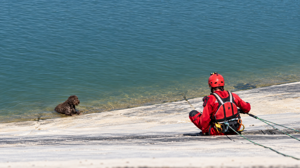 Un bombero con traje rojo y casco sentado en el borde de una balsa de riego, junto a un perro que espera en la orilla