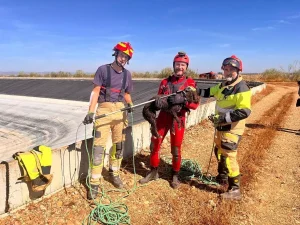 Bomberos del parque de Palma del Río con la perra de aguas tras el rescate en la balsa de agua donde quedó atrapado el animal