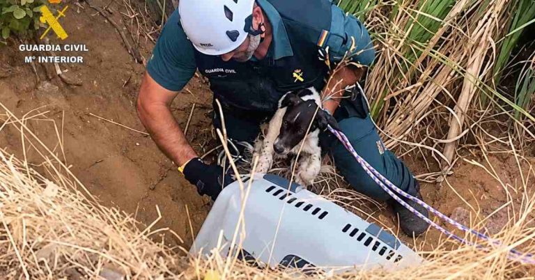 Un agente del SEPRONA sujeta a uno de los perros durante el rescate en la poza de Fuente el Fresno