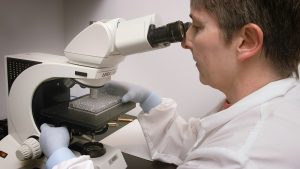 Investigadora ante un microscopio; fotografía contextual de CDC, ajena a los laboratorios españoles.