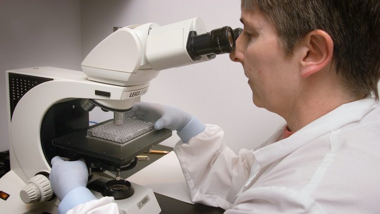 Investigadora ante un microscopio; fotografía contextual de CDC, ajena a los laboratorios españoles.