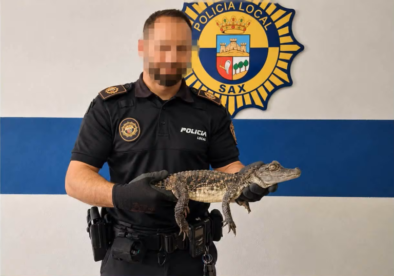 Policía con el caimán recogido