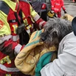 Un bombero y el perro rescatado en Xàtiva. Foto: Radio Xàtiva / Cadena SER.