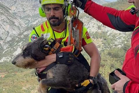 Rescatador del helicóptero sujetando al perro rescatado en Lebeña