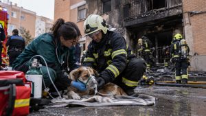 Una veterinaria y un bombero atienden a un perro tumbado sobre una manta con una mascarilla de oxígeno, delante de un edificio quemado