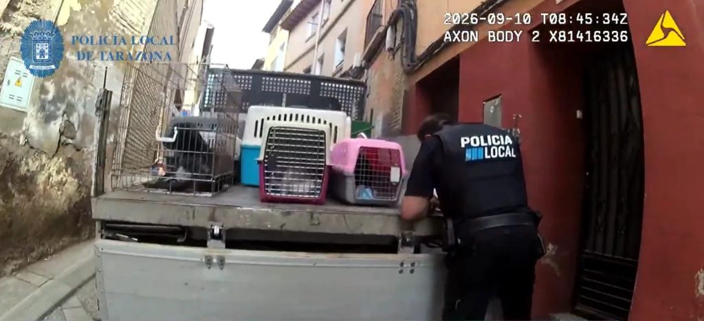 Agente de la Policía Local de Tarazona junto a transportines con animales rescatados
